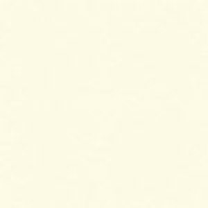 SANDERSON PAINT NEUTRAL LT.  20